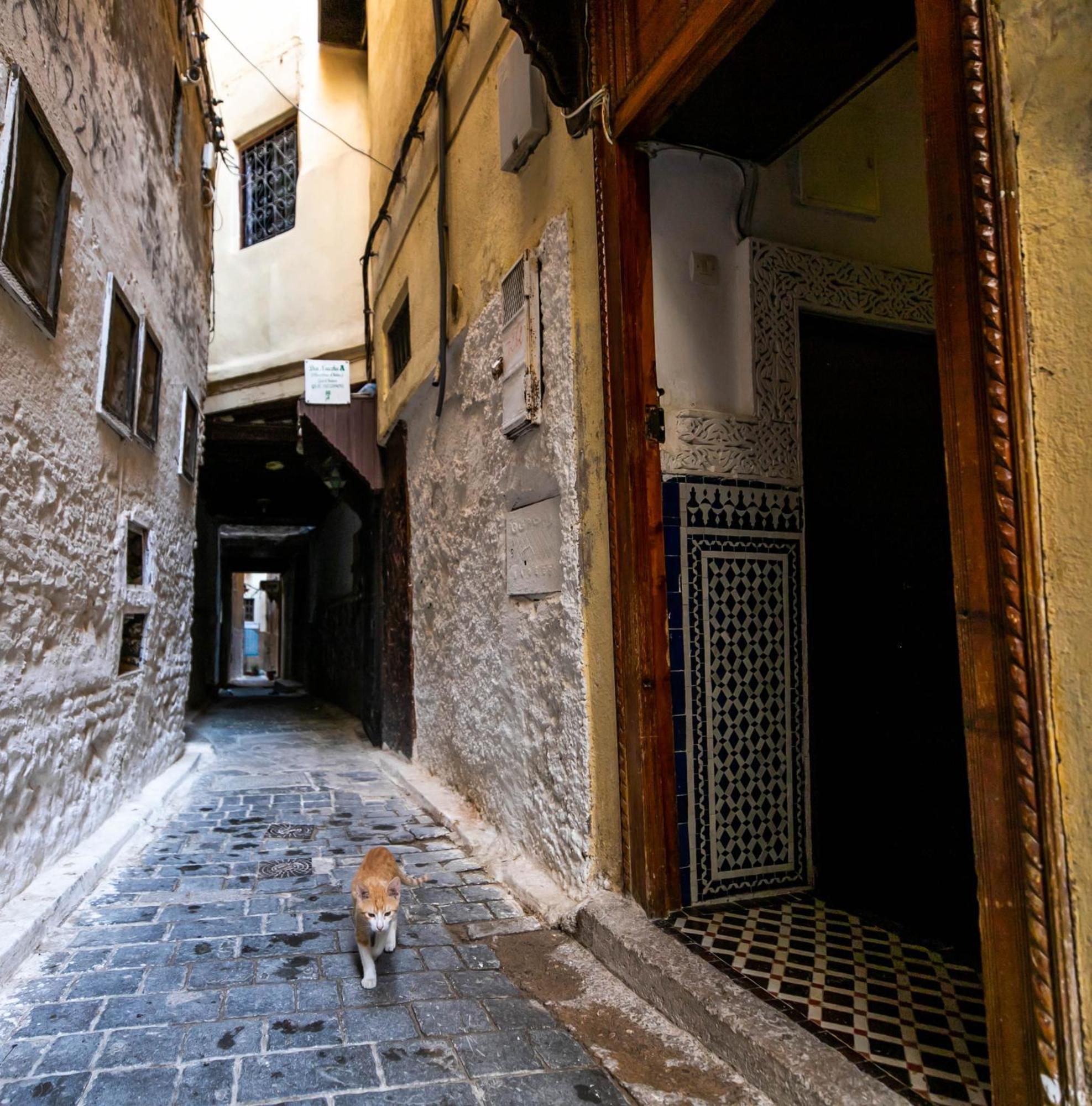 Riad Dar Omar Fes Exterior photo
